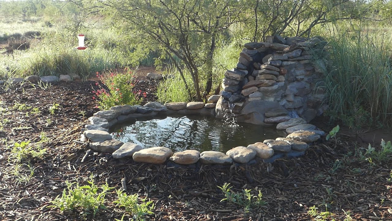 Off-Grid Waterfall Wildlife Pond Success - Beautiful Visitors!