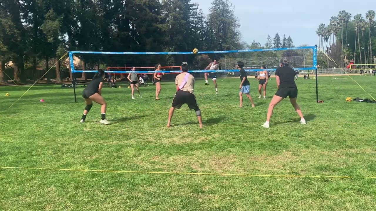 Birthday Bunch Quarterfinals Set 1