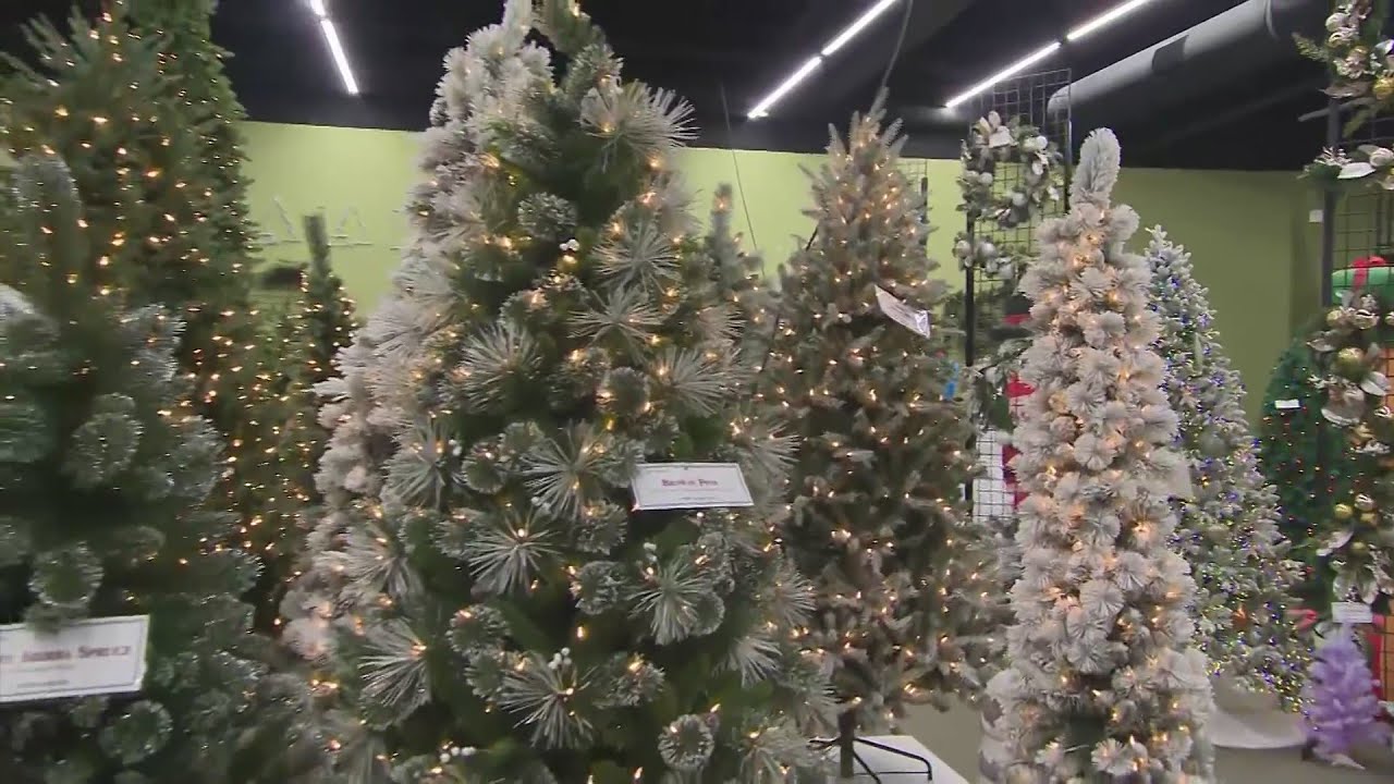 Inflation could mean higher prices for Christmas trees
