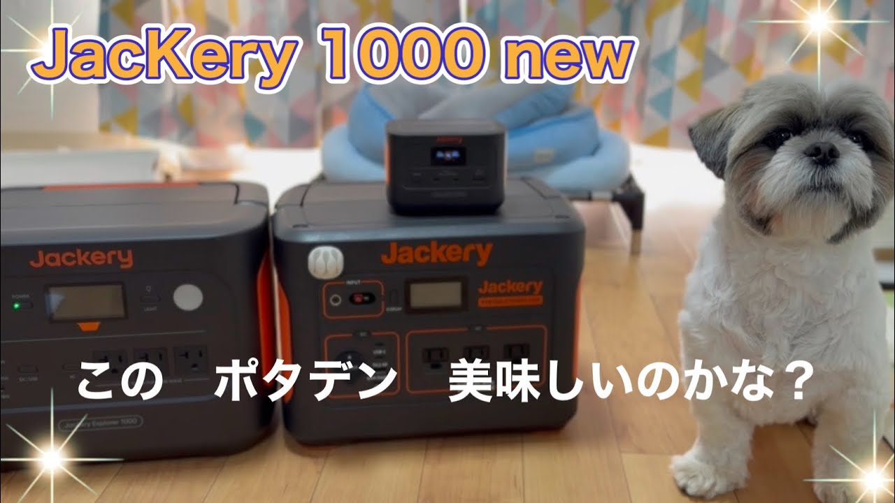 Jackery1000NEW#シーズー #Jackery100#ポータブル電源#車中泊ギア#funny 