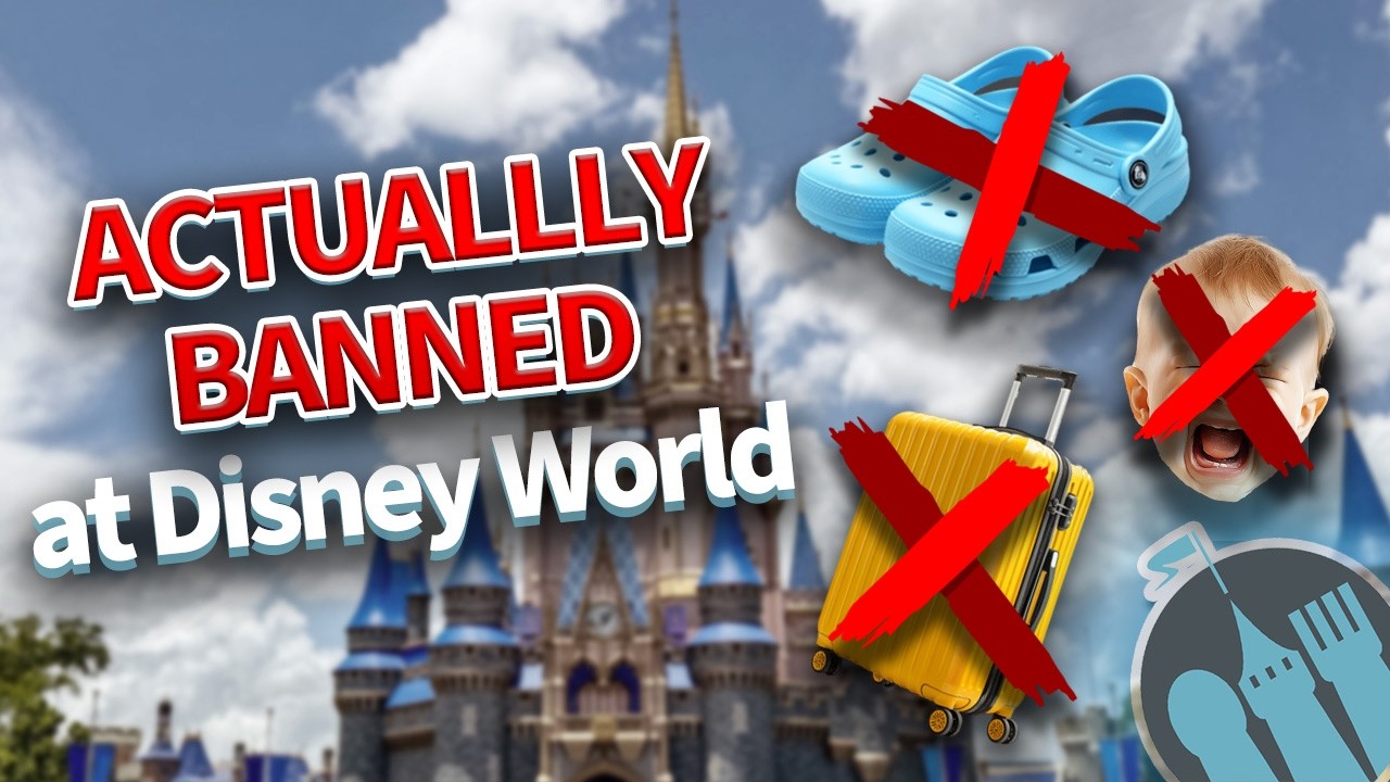 10 Things You Didn’t Know Were BANNED in Disney World