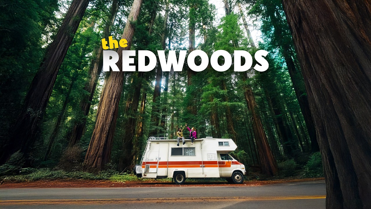 We Almost Skipped the Redwoods. That Would&rsquo;ve Been a Big Mistake