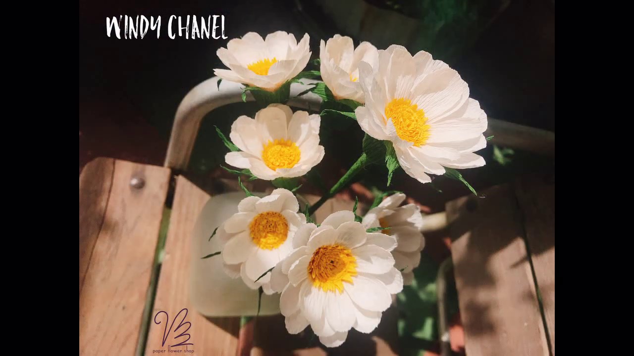 Cách làm hoa cúc họa mi giấy nhún một phát ăn ngay - How to make daisy paper [hoagiayshop.com]