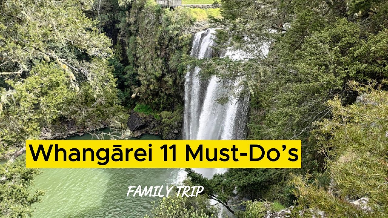 Whangārei's Top Spots For Family Fun! 🐬 Dolphins appear at 46:00 (Ruakākā Beach) 海豚惊喜