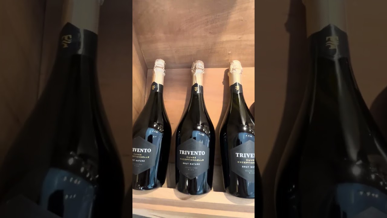 TRIVENTO Winery bodega