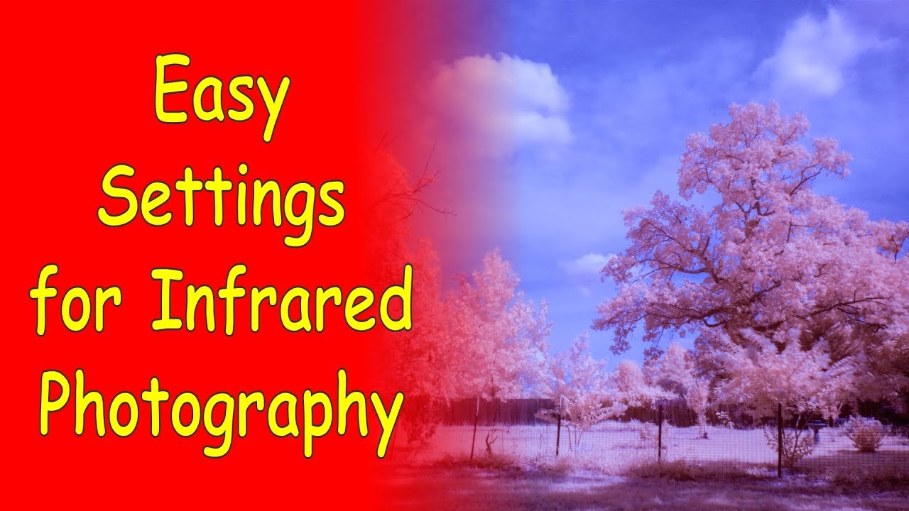 Easy Infrared Photography Settings for Olympus Cameras ep.178