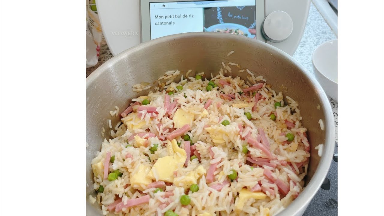 Riz cantonnais @thermofansylvieconseillere8988
