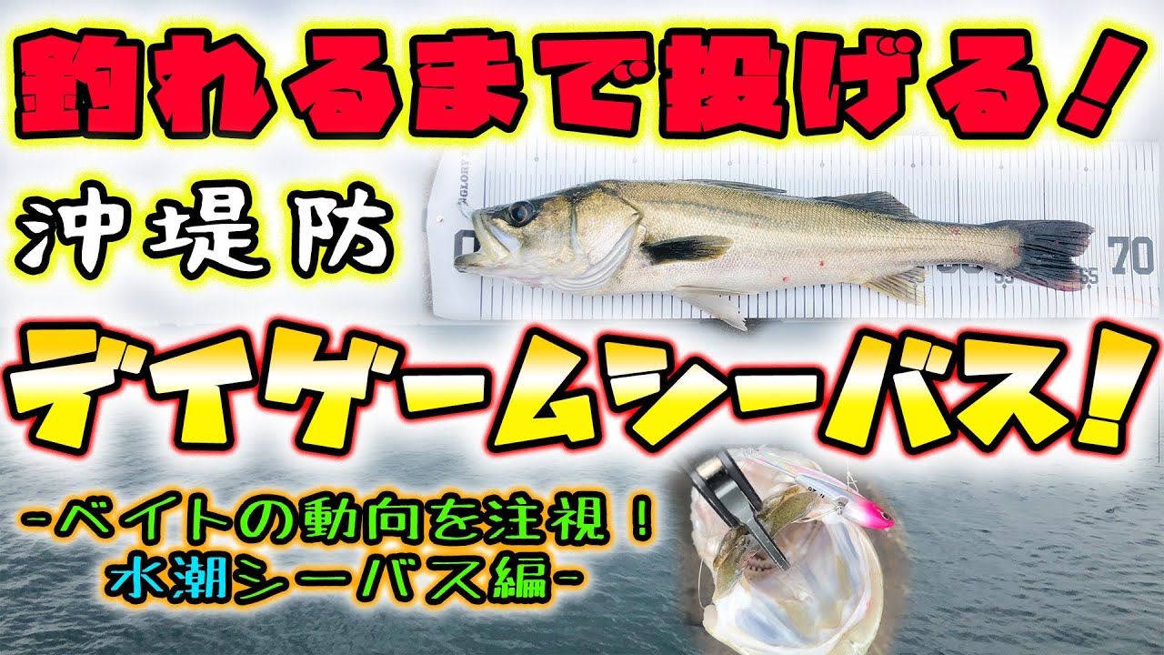釣れるまで投げる！沖堤防デイゲームシーバス！ - ベイトの動向を注視！水潮シーバス編 - 東京湾シーバス