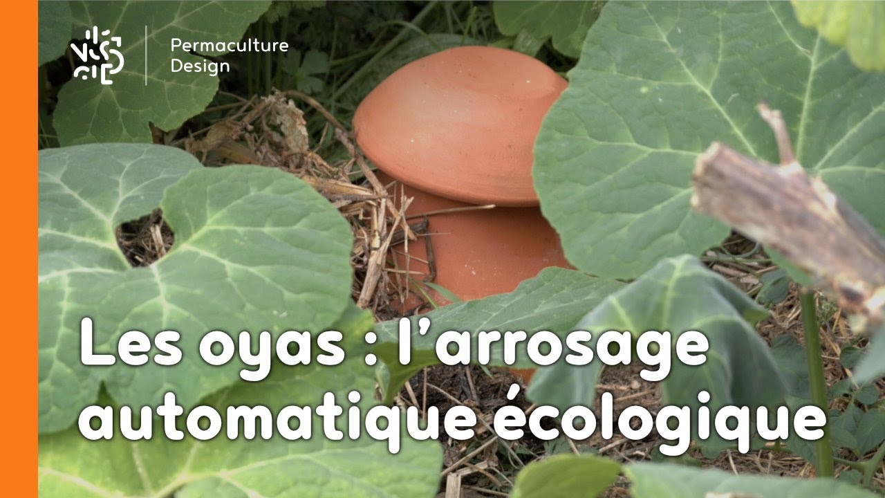 Les oyas : l’arrosage automatique écologique