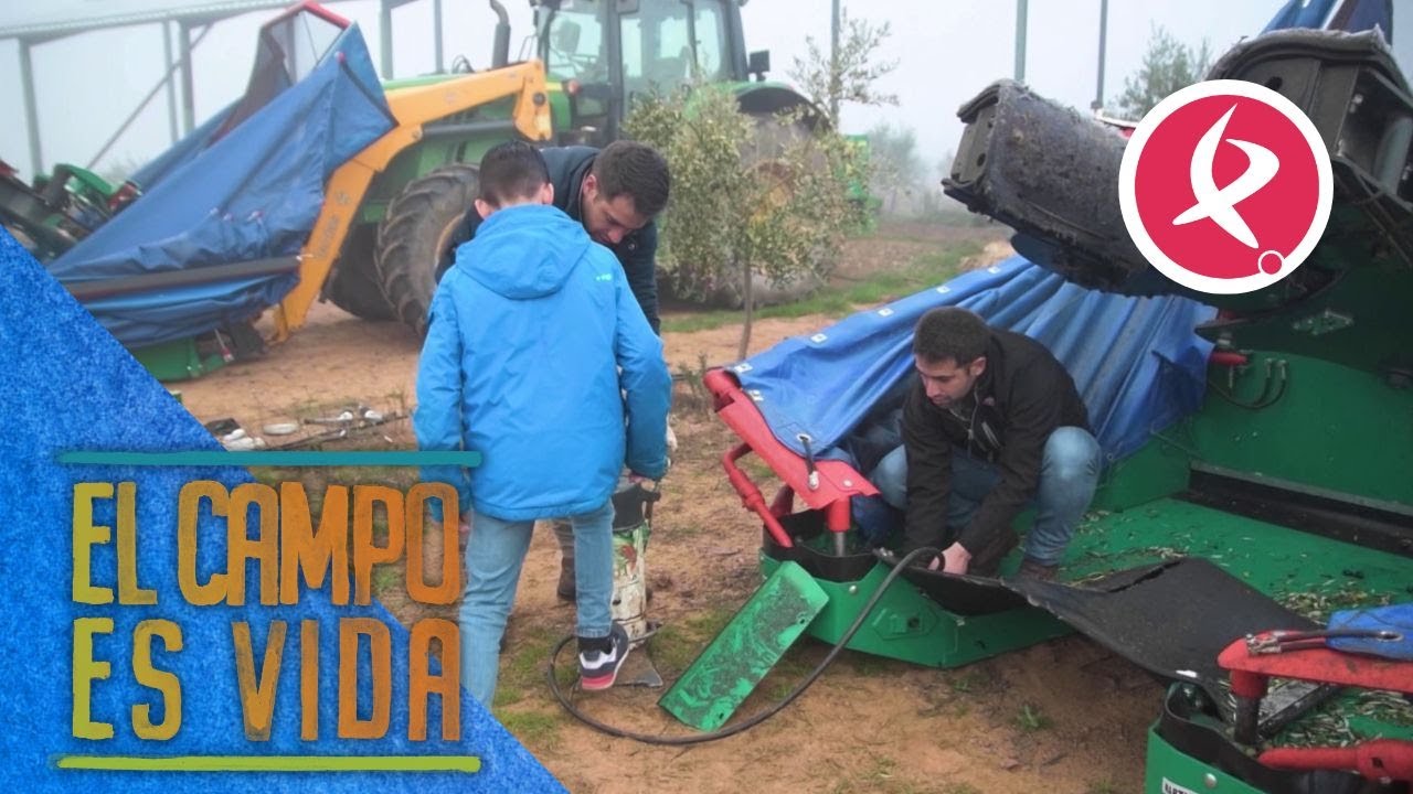 El truco de Los Mellis para que nada vaya mal en la campaña | El campo es vida