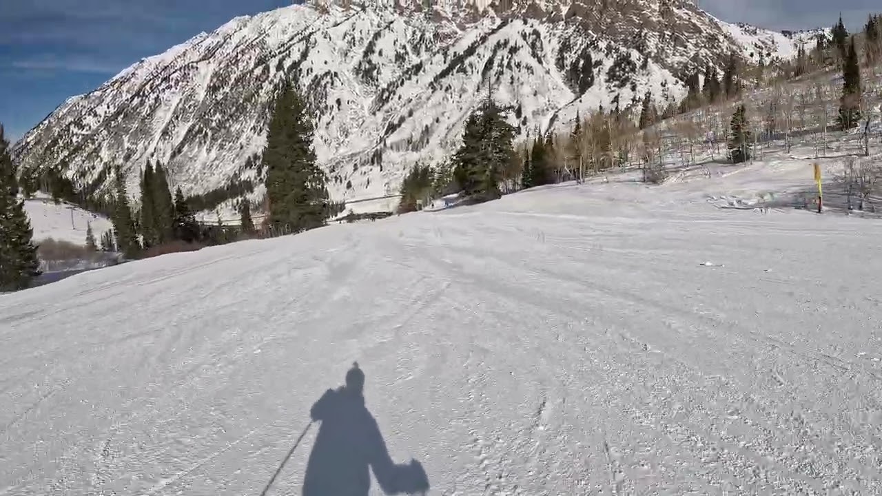 Snowbird Feb 23, 2026 mid and lower Emma.  High speed Green but short