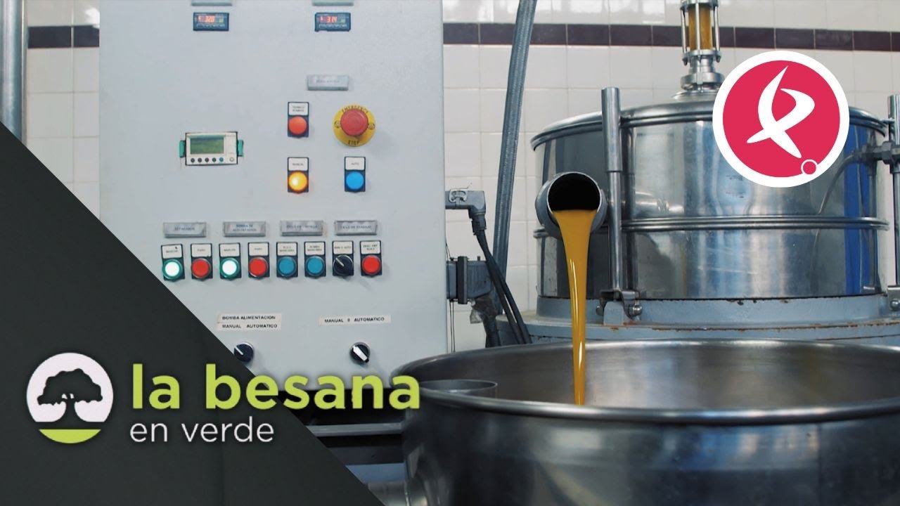 Aceites de calidad | La Besana en Verde