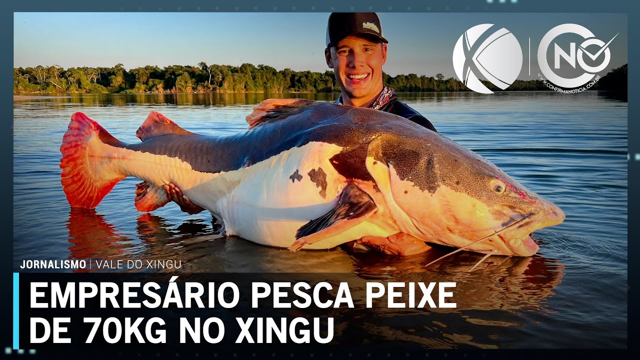 Empresário goiano consegue recorde mundial por pesca de peixe de 70 kg no rio Xingu | SBT Altamira