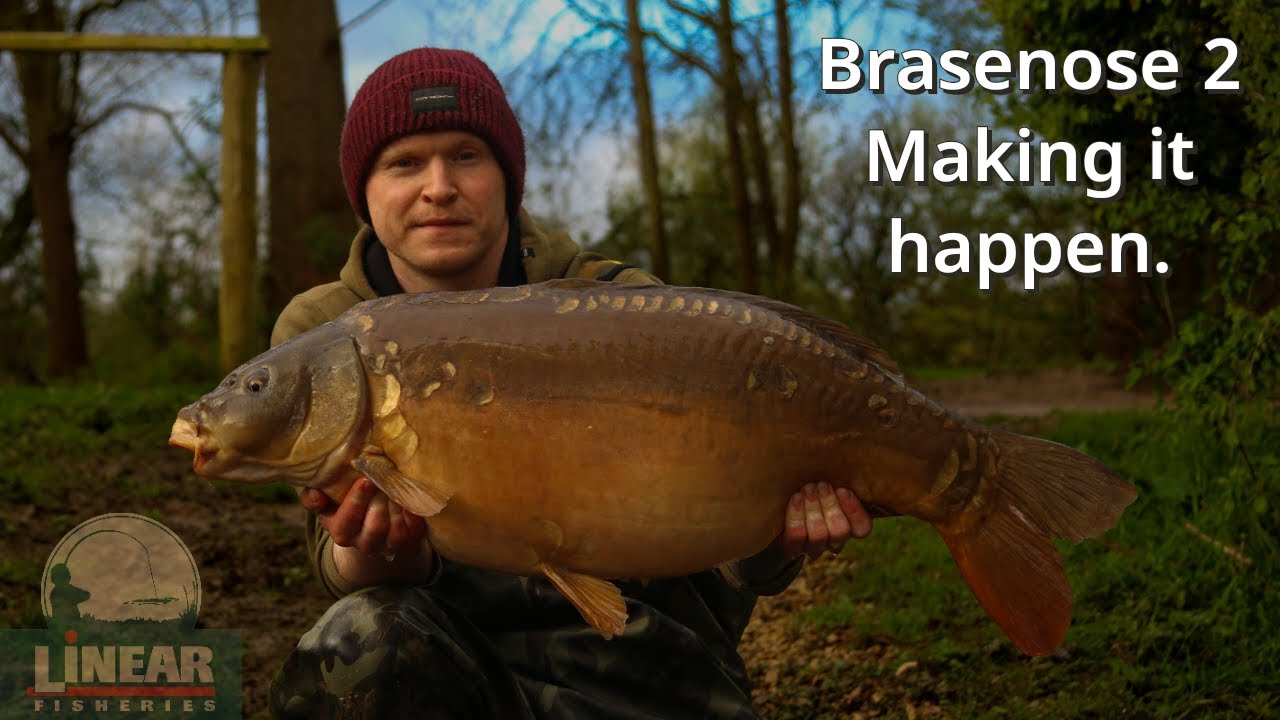 Spring Carp Fishing at Linear Fisheries Brasenose 2. Making it happen when your not in the best peg.