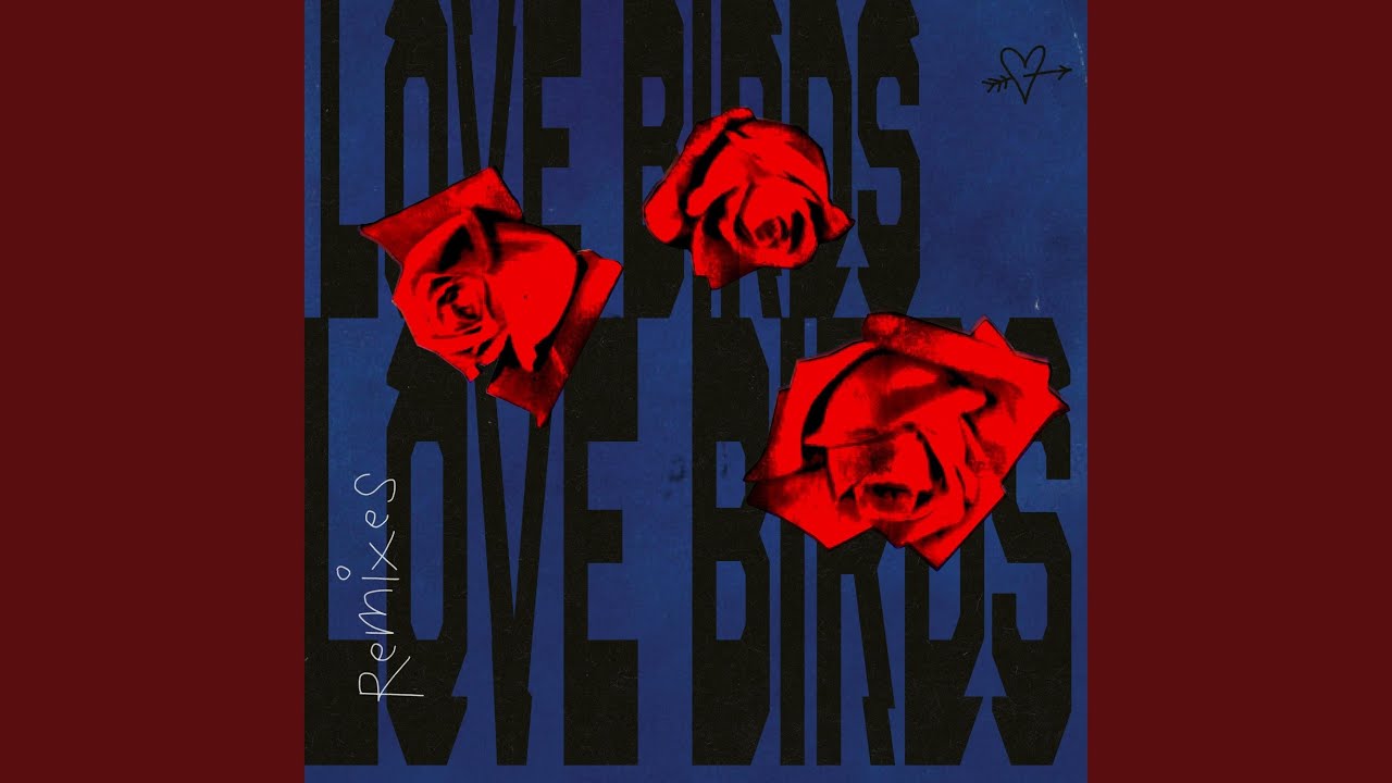 Love Birds (Blookah Remix)