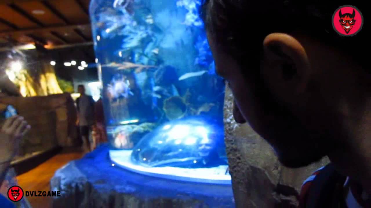 VLOG #29 Dubai Aquarium : فلوق في الحديقة المائية في دبي