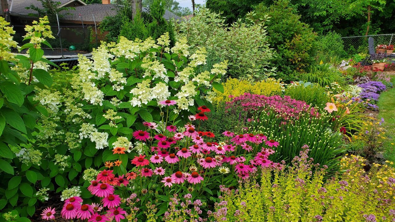 Mid-July Garden Tour in a Northern Climate, Minnesota Zone 5a