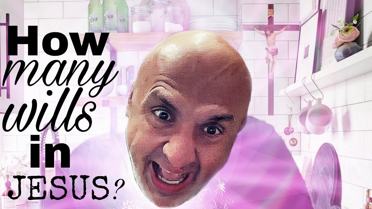 Does Jesus have one or two wills? Sam Shamoun