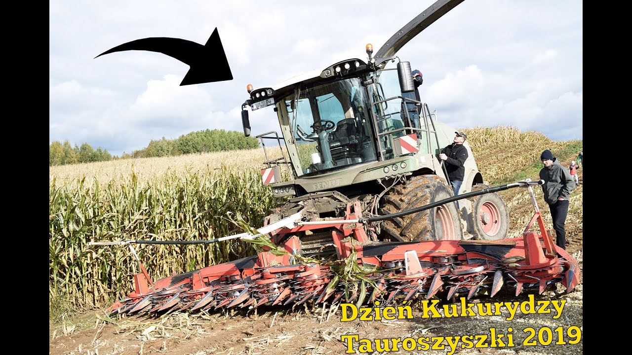 ☆Dzień Kukurydzy ☆ 2019 ☆ Tauroszyszki ☆