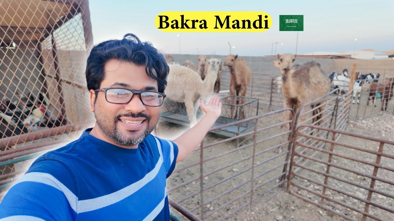 Bakra Mandi in Saudi Arabia 🇸🇦 | Qurbani 2025 Price & Full Tour