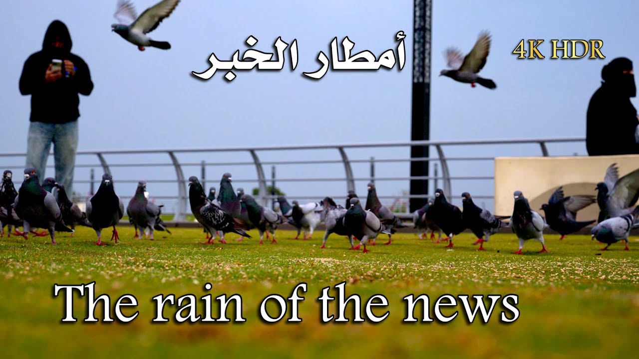 أمطار الخبر ٢١ رمضان ١٤٤٧ هجري Al-Khobar rain 21 Ramadan 1447 Hijri