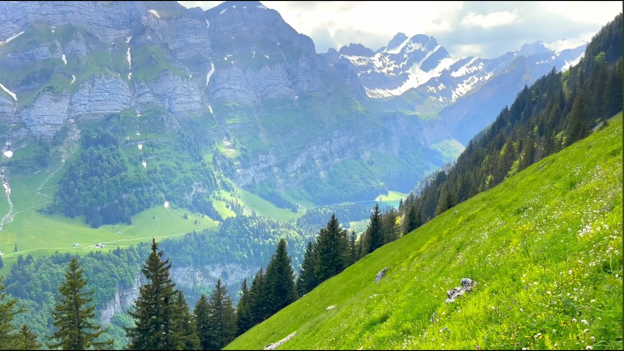 Calming Music to Clear Your Mind 🌿 Find Peace & Relaxation  #Relax #Calm #Meditation