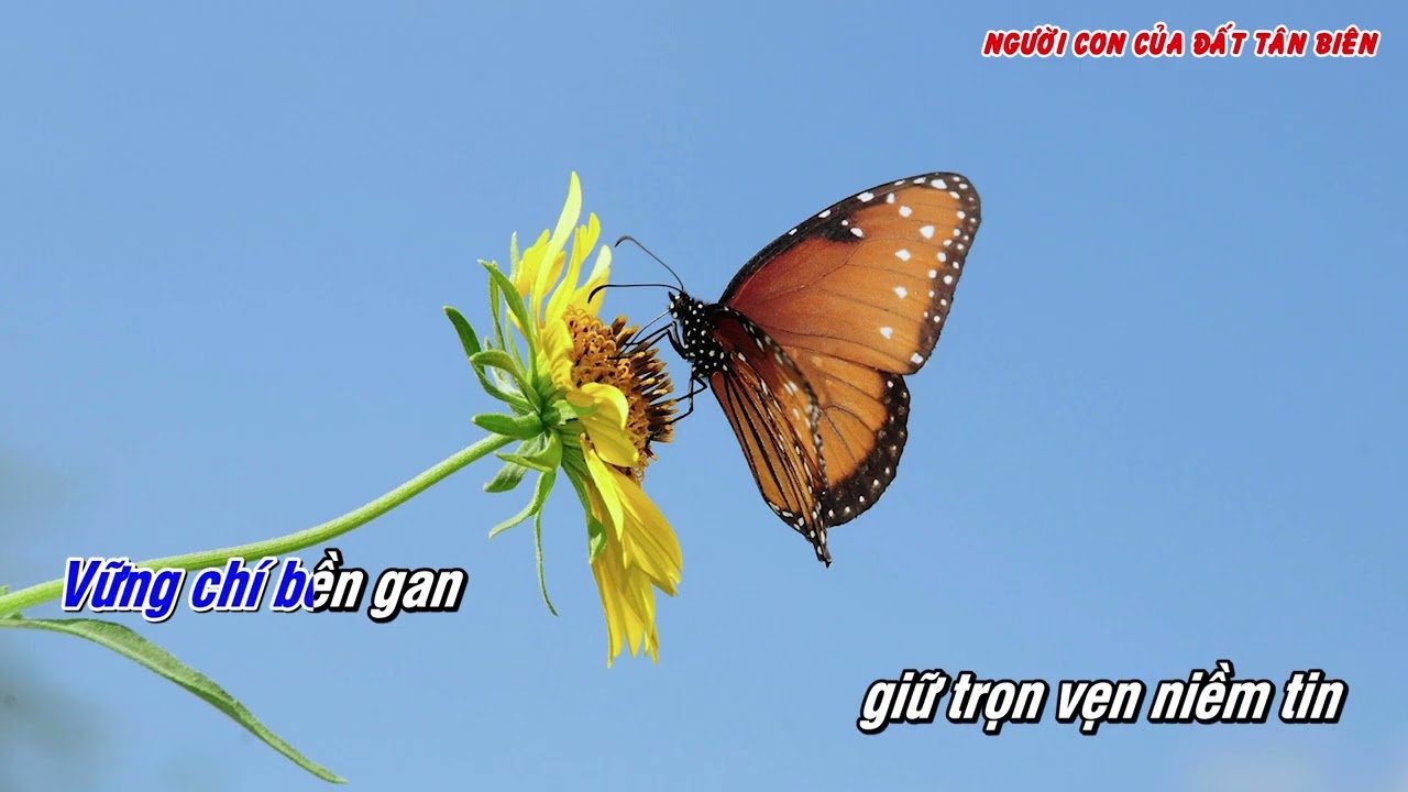 Karaoke Người con của đất Tân Biên