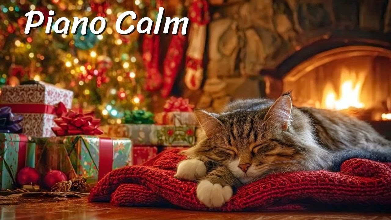Calm Your Feline Friend 🐱 Soothing Piano and Fire Sounds for Immediate Anxiety Reduction