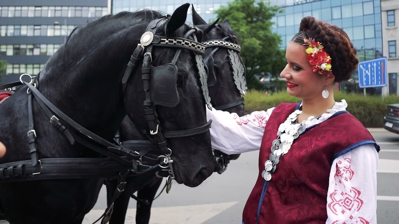 Tamburica Fest 2025 - Tambura kao način života