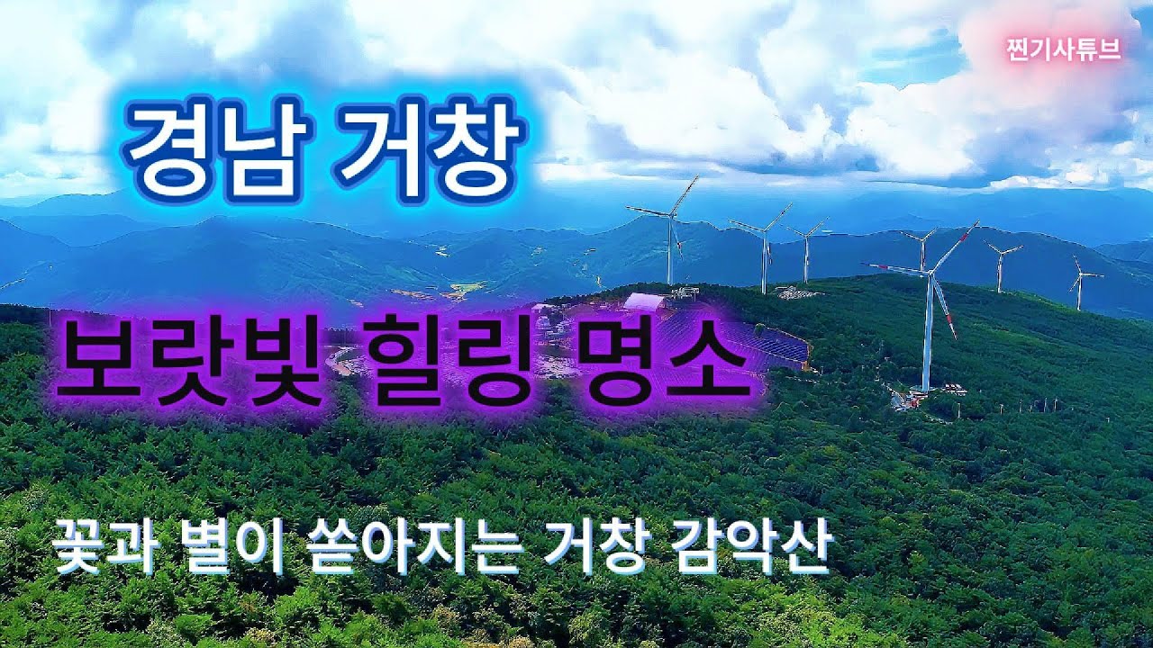 거창감악산축제 │아스타국화│거창감악산│별바람언덕│경남거창