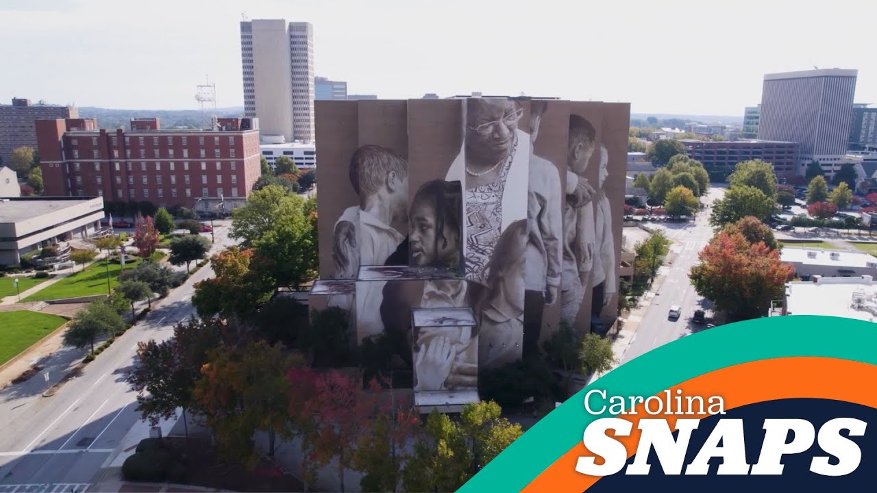 South Carolina Street Art | Carolina Snaps
