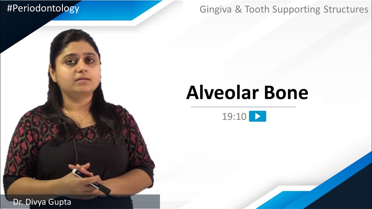 Periodontology - Gingiva & Tooth Supporting Structures - Alveolar Bone | NEET MDS | MERITERS