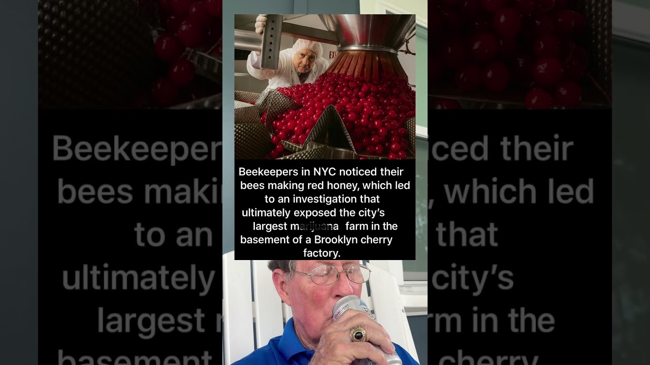 Beekeepers in NYC Noticed Their Bees Making Red Honey, Exposinf The Cities Largest Farm.