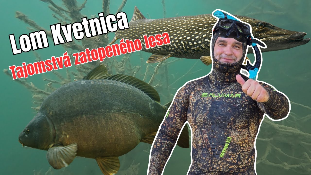Lom Kvetnica - POD VODOU 2025 - Zatopený les -  Obrovská ŠŤUKA - Veľké KAPRE - Korytnačky