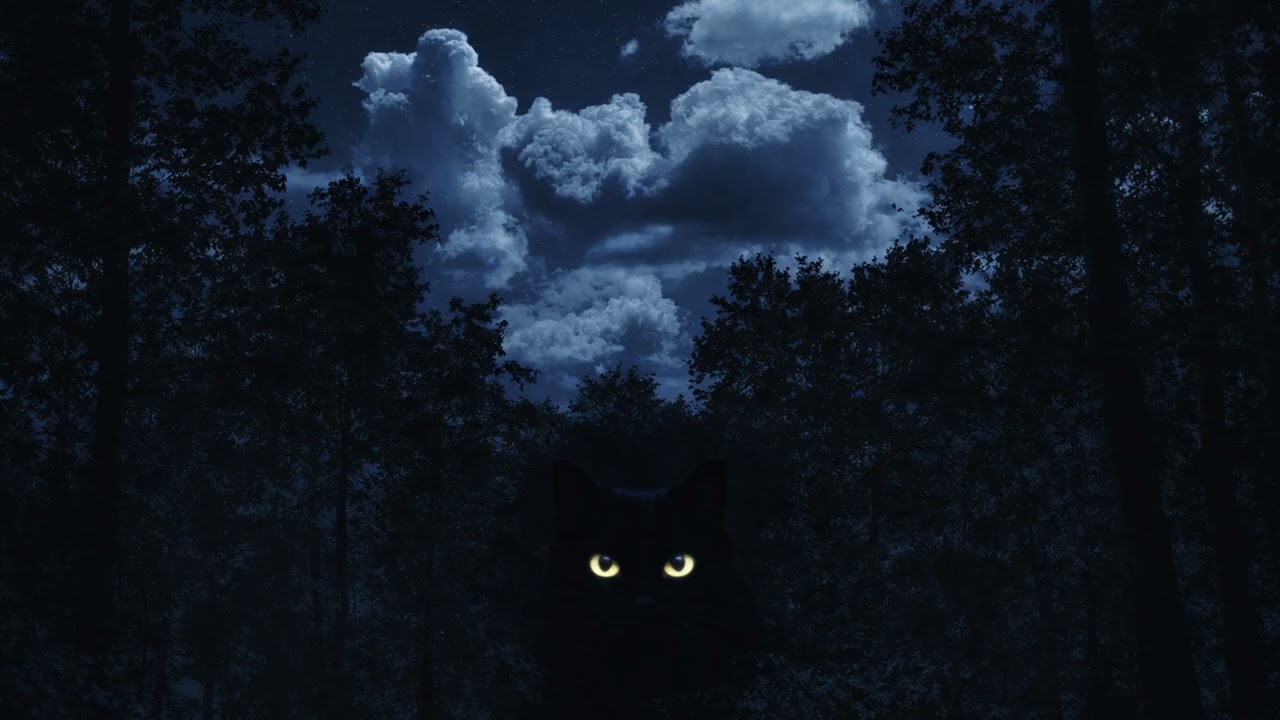 Mugen-The Night Hunter