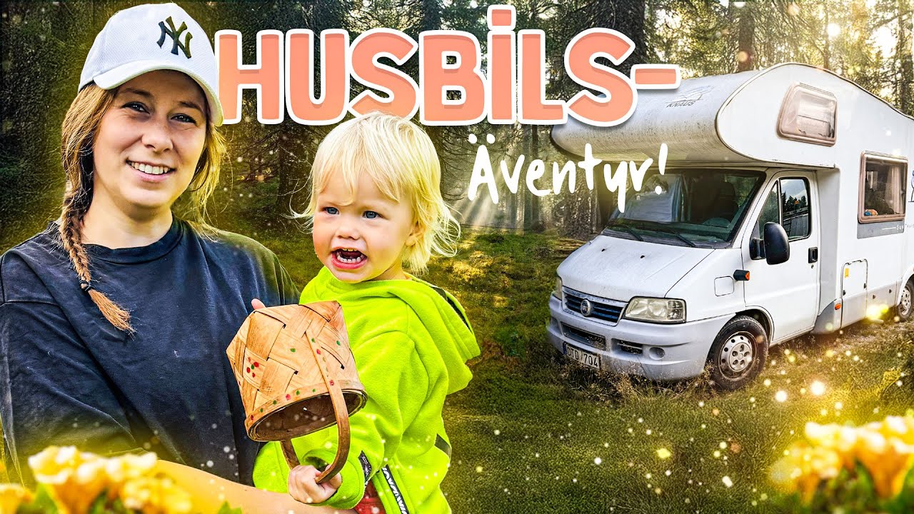 Husbil, barn & hundar mot H&auml;lsingland