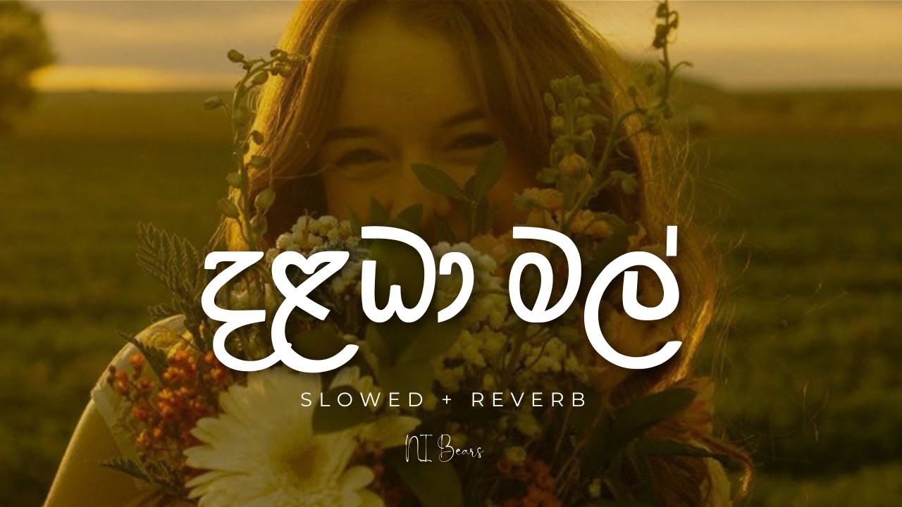 Dalada Mal (Slowed + Reverb) Janana ft. Kesavan Thangavadivel