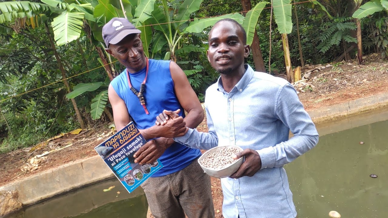 MNUFAIKA WA UFUGAJI SAMAKI MKOANI MOROGORO AKUTANA NA MTAALAM WA SAMAKI MR. MAKEMBA 0678940570