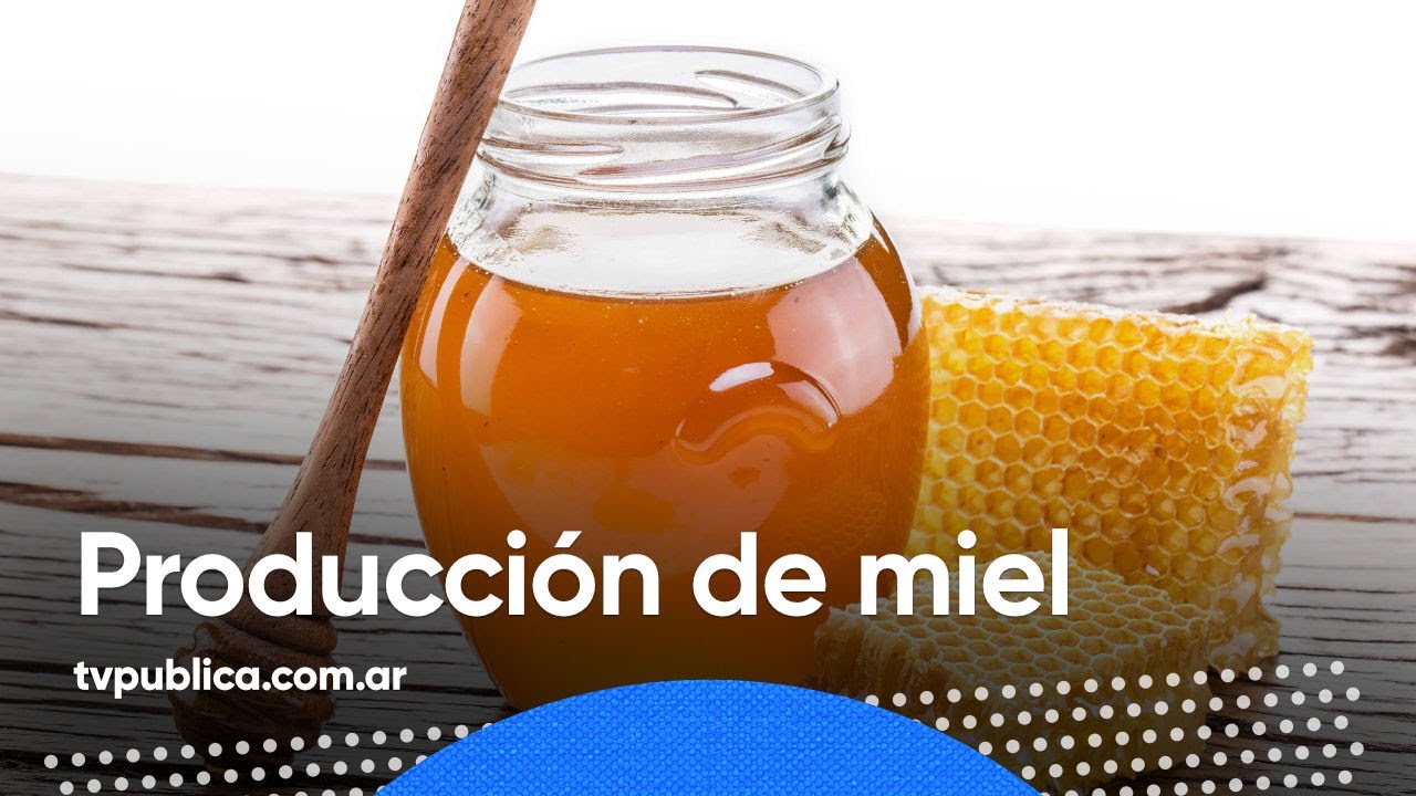 Producción apícola de Argentina - Mañanas Públicas