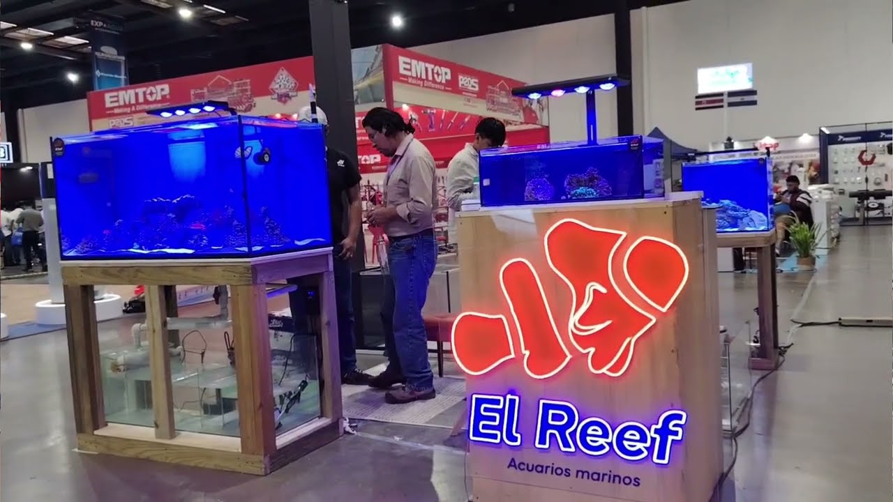 Estas son algunas de las reconocidas marcas que forman parte de la ExpoAqua Internacional 2026