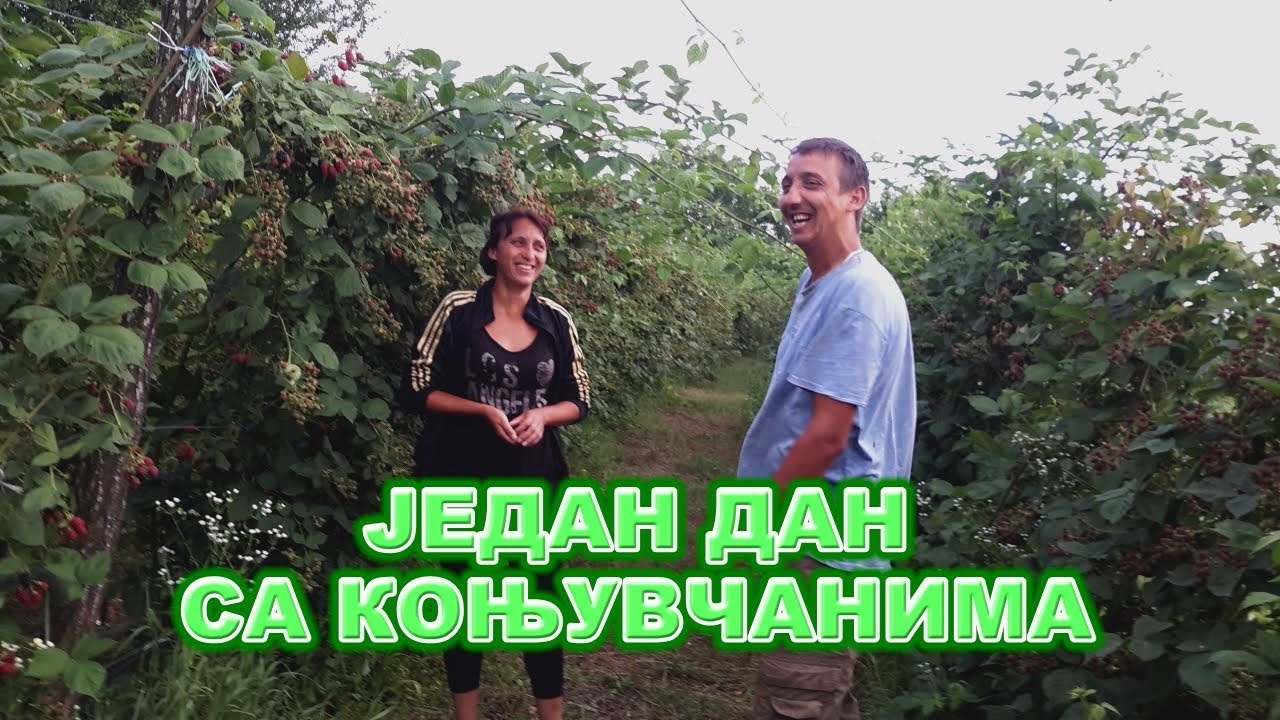 Један дан са Коњувчанима