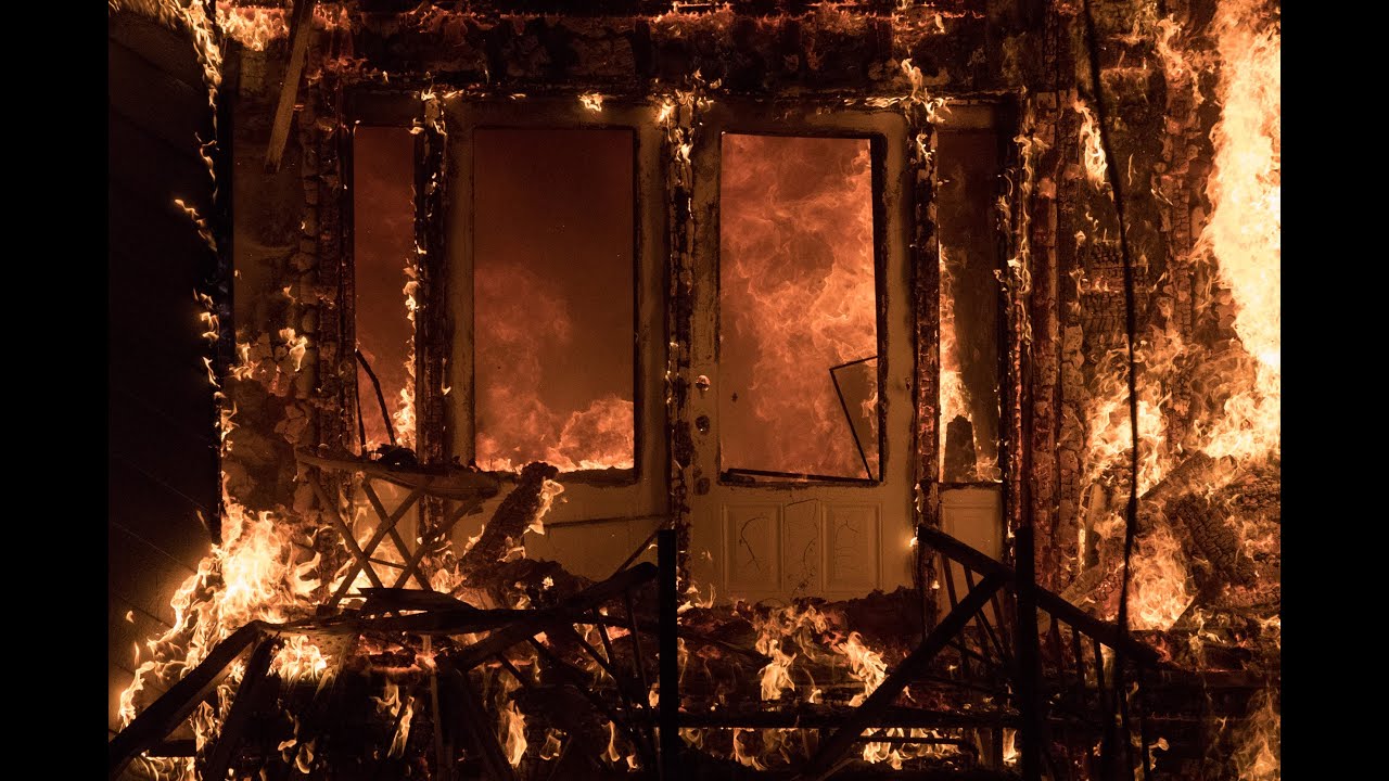 Incendie majeur &agrave; Qu&eacute;bec: deux chiens sauv&eacute;s par les pompiers