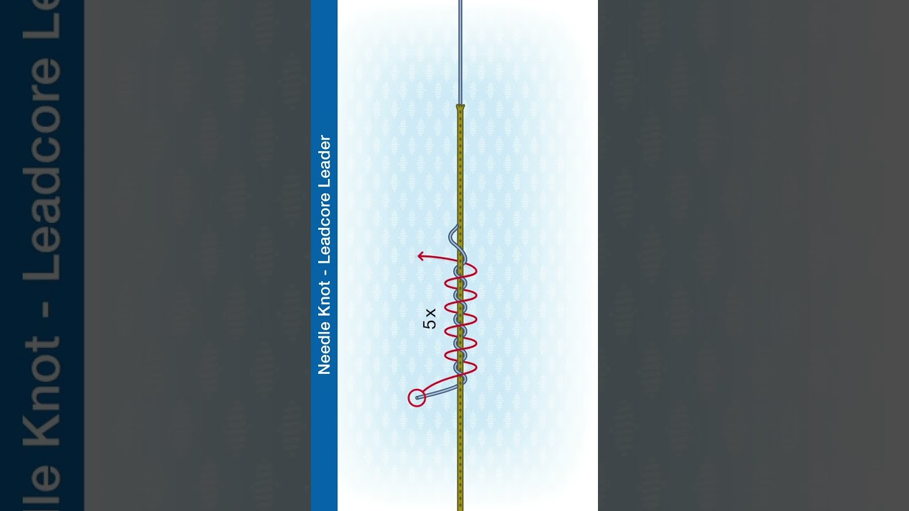 #Shorts How To Tie The Needle Knot - Leadcore leader