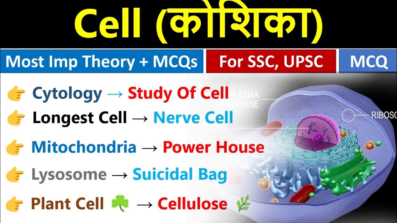 Cell | कोशिका | Cell Top MCQs | Biology Gk | Science Gk |
