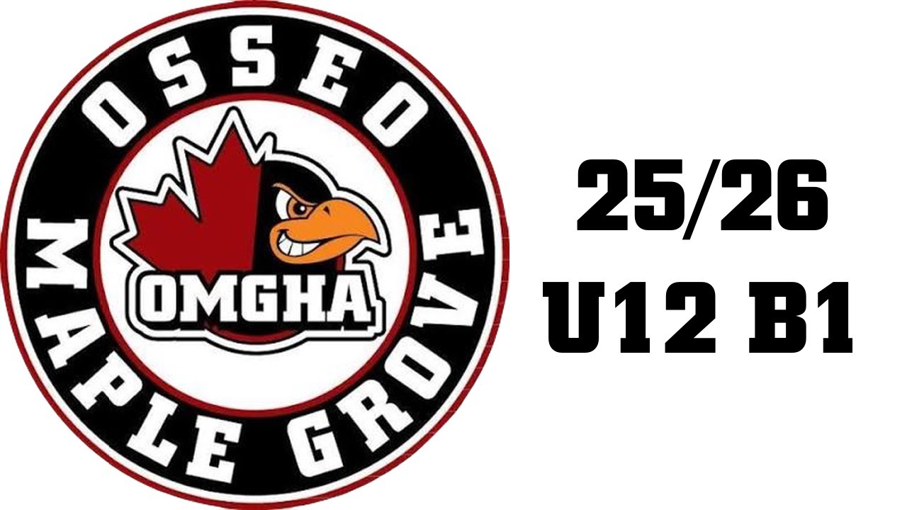 D3 OMGHA U12B1 vs Wayzata Gold
