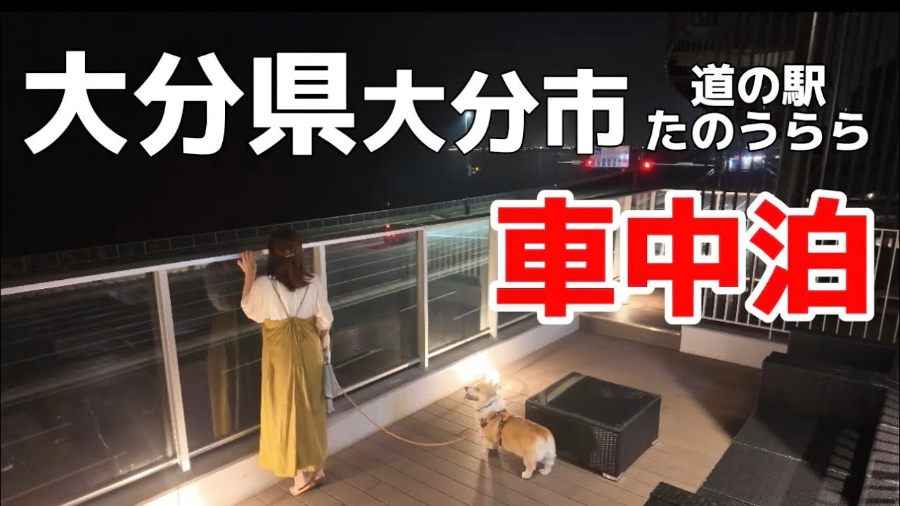 【実家DIY&車中泊】手作りデッキ後の道の駅で車中泊!道の駅たのうらら夜の散歩