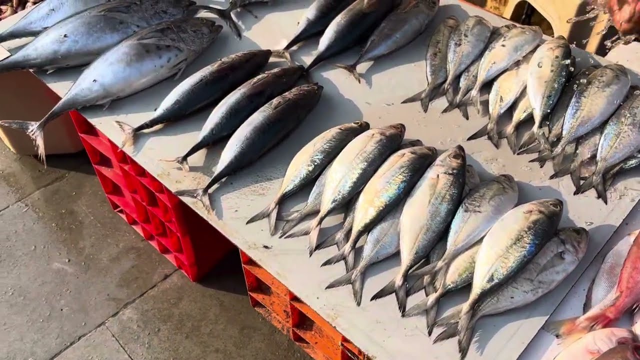 Malad Fish market like and subscribe🔔