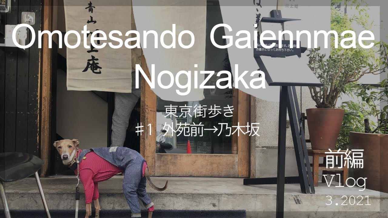 【表参道　外苑前】【前編】意外と知らない美味しいお蕎麦とパン屋さん　銀杏並木も独り占め  【イタグレ】