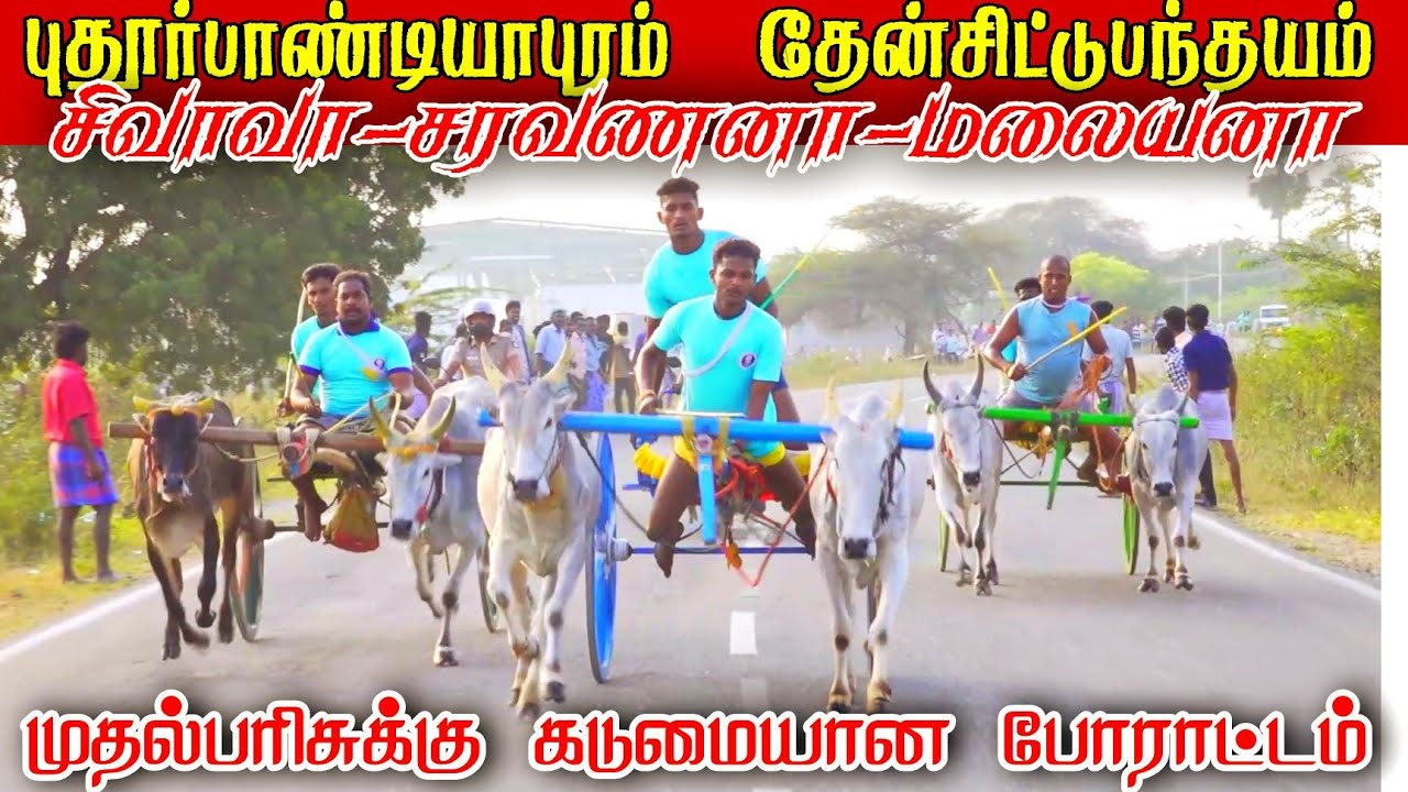 புதூர்பாண்டியாபுரம் தேன்சிட்டு இரண்டாம் சுற்று பந்தயம் 