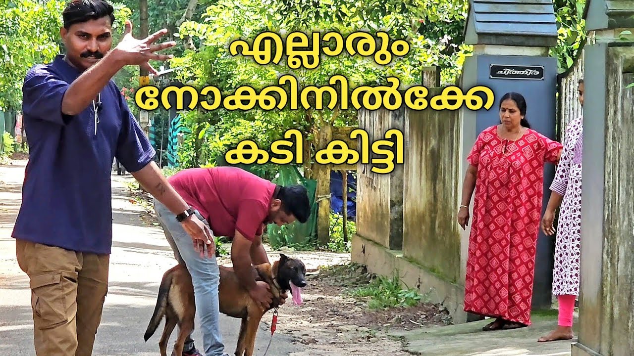 എല്ലാം പെട്ടെന്ന് ആയിരുന്നു.. belgian malinois.. Leash Talks